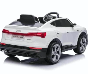 Auto Audi E-TRON R/C QS-MB6688 Beli 146777