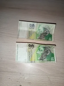 Slovačka 40
