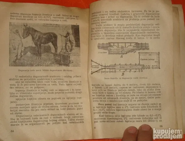 Veterinarski priručnik za protivavionsku zaštitu životinja