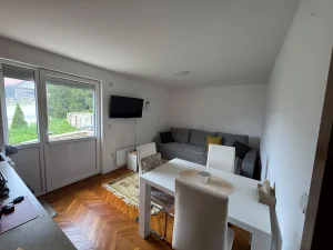 Zlatibor, Palisad, 1.5 jednoiposoban, 33 m²