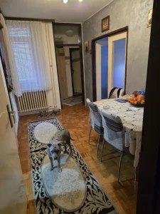 Cara Lazara, Barajevo, 2.0 dvosoban, 66 m²