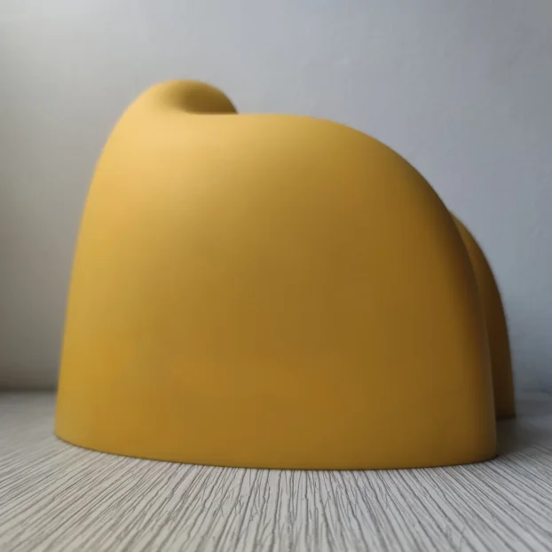 YELLOW-HEAD back and classic / komplet