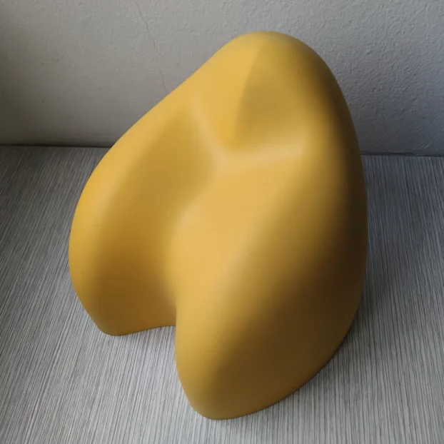 YELLOW-HEAD back and classic / komplet