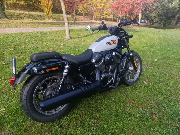 Harley Davidson Nightster special