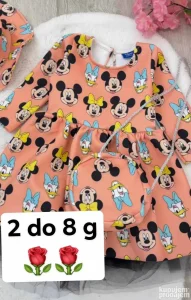 Kompletici za princeze sve za 2600