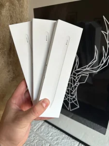 Apple Pencil 1 / Pencil 2 / Pencil Usb C / Pencil Pro - Novo
