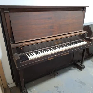 Newby & Evans New York Upright Piano - ZAMENA