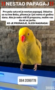 Ljubimac se izgubio