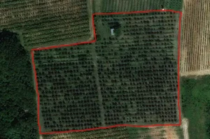 HITNO Sremski Karlovci, Fruška gora, 198.96 ar