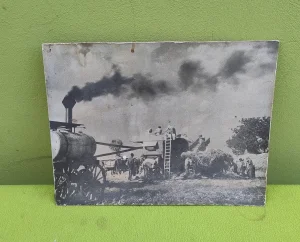Kartonska fotografija - Vršidba, vršalica - dreš - Sombor