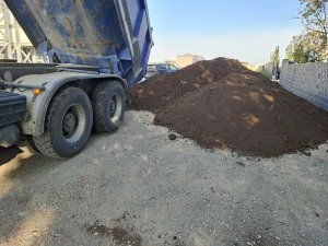 Najbolja crna zemlja-humus za travnjake