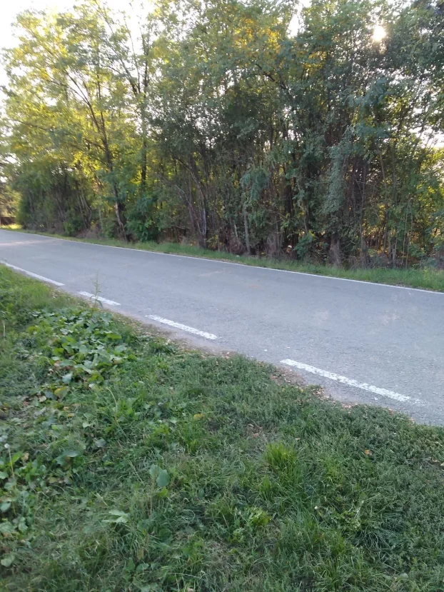 Stubline, Opština Obrenovac 10 а