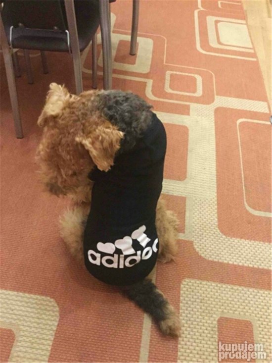 NOVO ADIDOG Duks , dux, odelce za psa, odeca za pse