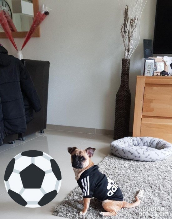 NOVO ADIDOG Duks , dux, odelce za psa, odeca za pse