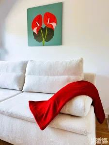 Apartman Anturijum Divčibare - kod Maxija