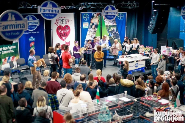 Rasne mace iz WCF odgajivačnica