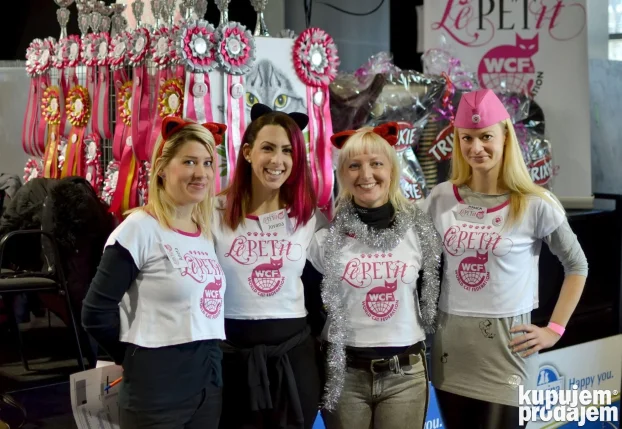 Rasne mace iz WCF odgajivačnica