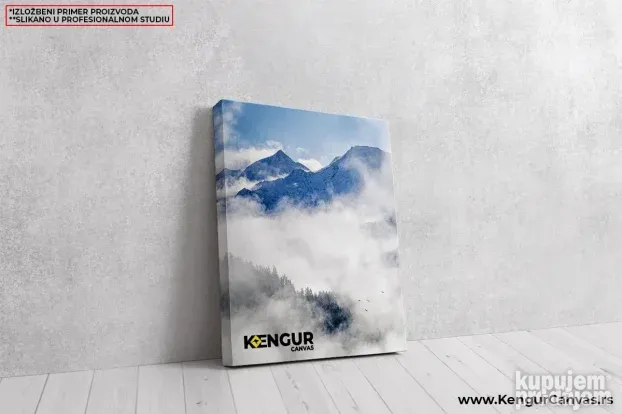 Slike na Canvasu - Slika na platnu - Kengur Canvas 3017 pr5