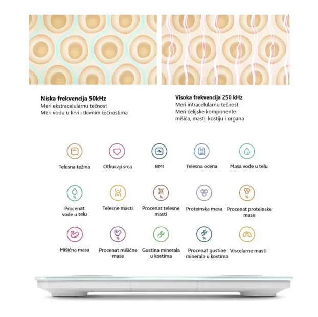 Kucna vaga Xiaomi MI Body Composition Scale S400