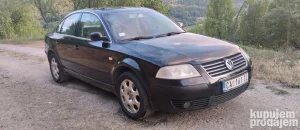 Volkswagen Passat B5.5