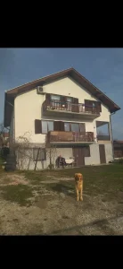 AleksandrasSavic12, Čačak, Trbušani, 4.0 četvorosobna, 100 m²