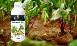 FitoFert BOR-AMIN 150