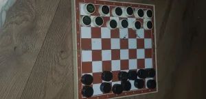 Saski magneti drustvene igre