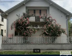 lastina, Inđija, Širi centar, 4.0 četvorosobna, 100 m²