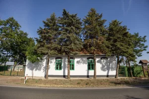 Salas 373, Srbobran, Širi centar, 4.0 četvorosobna, 500 m²