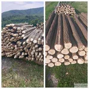 bagremovo kolje kočići direci stubovi motke