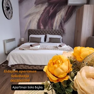 Apartman Soko Bajka 1 Sokobanja
