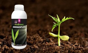 Fitofert AMINOFLEX