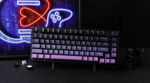 Aula i Epomaker gejming mehanicke custom tastature Srbija