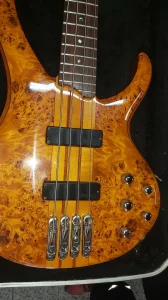 Ibanez BTB 770 pb