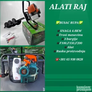 Busac rupa lesnik ruski - AKCIJA do 20.11