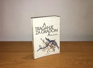 Đorđe Bobić - Traganje za gradom