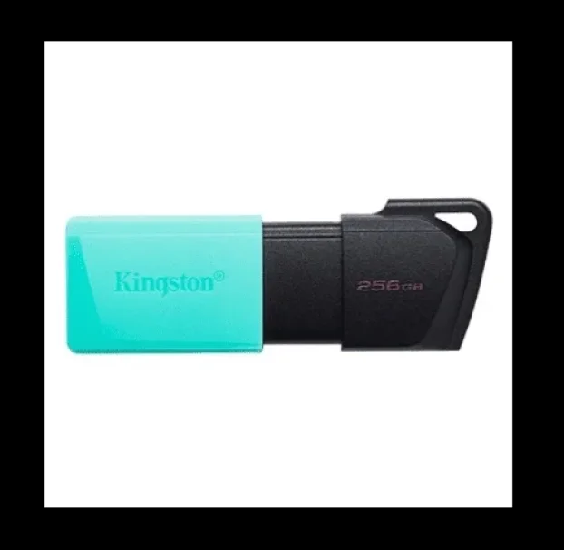 Kingston USB Fleš memorije 32, 64, 128, 256GB razni model