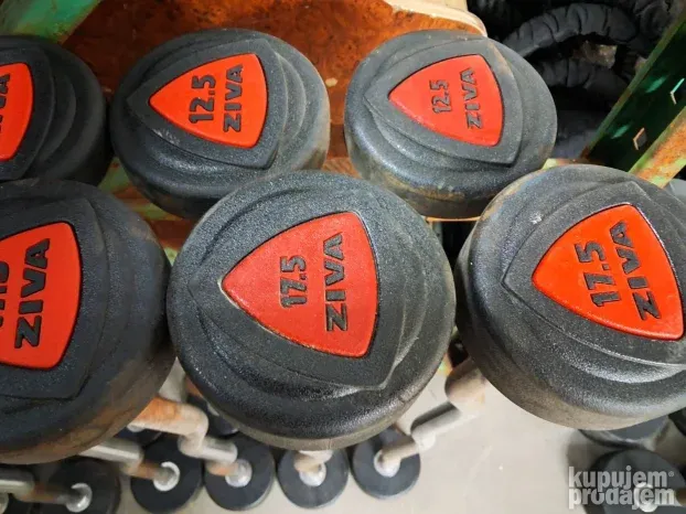 Ziva EZ Barbell Set 10-12,5-15-17,5-35-40-45kg