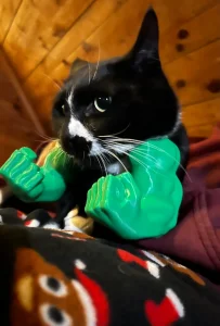 HULK Ruke za Mačku Nilo