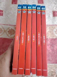 Mali Rendžer - Ludens