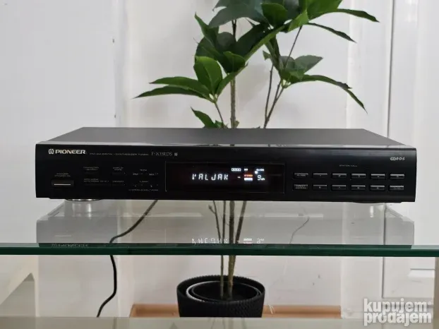 Pioneer F-203RDS
