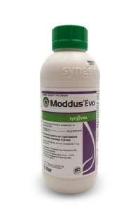 regulator rasta MODDUS EVO 1L