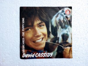 David Cassidy-Daydreamer-The puppy song-singl