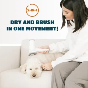 Fen sa cetkom za kucne ljubimce