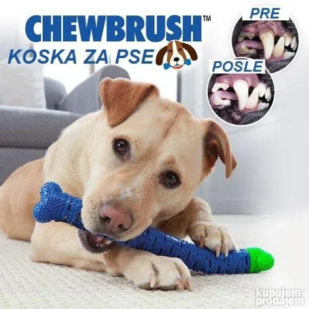 NOVO! Koska za čišćenje zuba psima