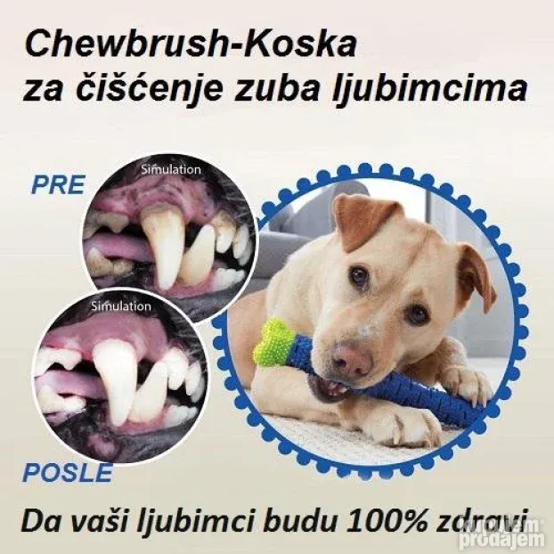 NOVO! Koska za čišćenje zuba psima