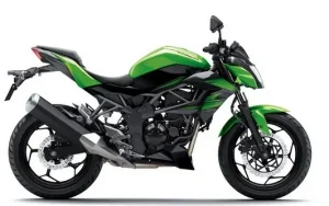 Kawasaki Z 250 2016 God. Far