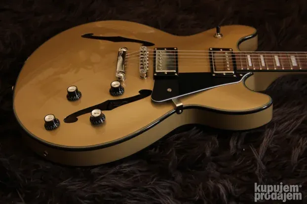 Harley Benton HB-35Plus Shoreline Gol Bundle