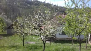 Bajina Bašta, Sijerač, dvosobna, 20 m²