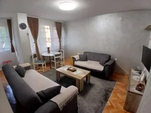 Bulevar Nemanjica, 2.5 dvoiposoban, 50 m²